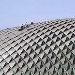 workers on the roof