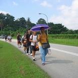 follow the purple umbrella!