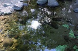 The water is clear and amazingly reflective