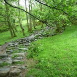 Neat stone path!