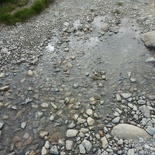 Few of the many trail water crossings