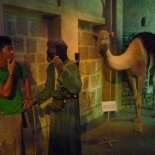 Sir 10,000 AED for the Camel? Mmmm