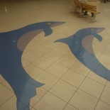 And of course, no marina mall is complete without dolphins!