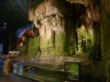 The zoo is rather nicely themed, especially this limestone cave