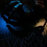 The creepy crawly section of the zoo!