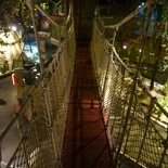suspension bridge!