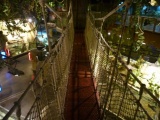 suspension bridge!