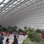 inside the flower dome