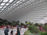 inside the flower dome