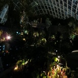 it is home to a "sky garden"