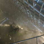 the mist is piped from under the walkways