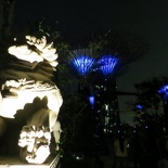 the themed gardens lit at night