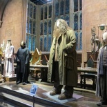 hi Hagrid!