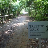 HSBC TreeTop Walk 09