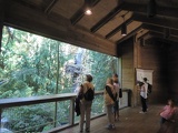 woodland park zoo seattle 33