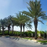 sc entrada del hotel al qasr