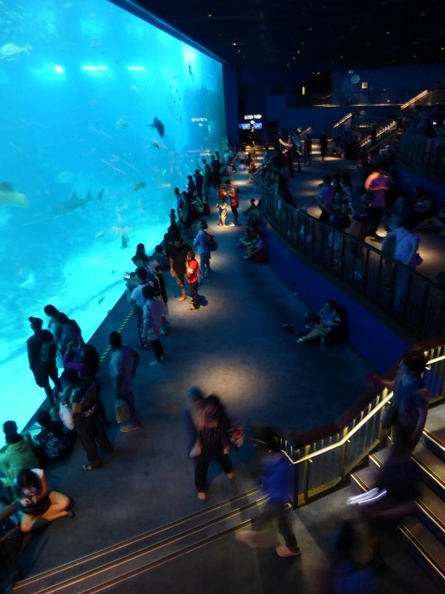 SEA-aquarium-sentosa-052.jpg