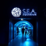 SEA-aquarium-sentosa-166