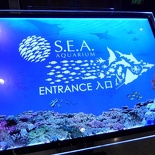 SEA-aquarium-sentosa-170