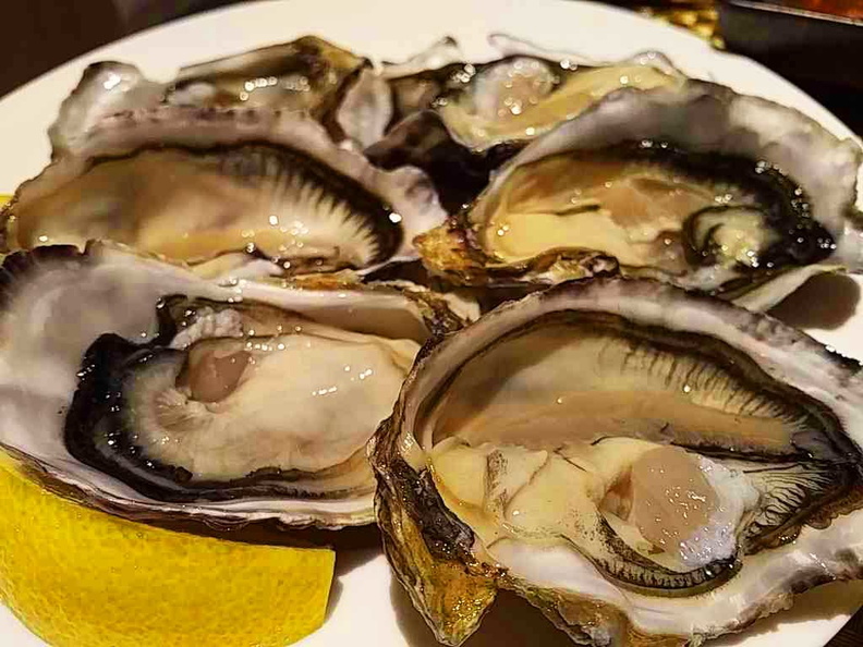 Really fresh oysters 