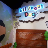 all-about-dogs-philatelic-museum-15