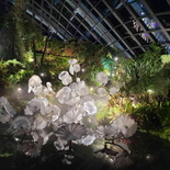 avatar-experience-cloud-forest-18