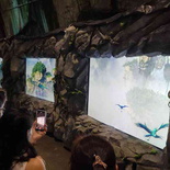 avatar-experience-cloud-forest-28