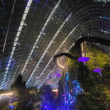 avatar-experience-cloud-forest-34