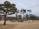 gyeongbokgung-palace-seoul-30