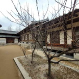 gyeongbokgung-palace-seoul-42.jpg