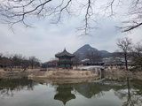 gyeongbokgung-palace-seoul-43