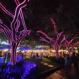 singapore-night-festival-2023-45