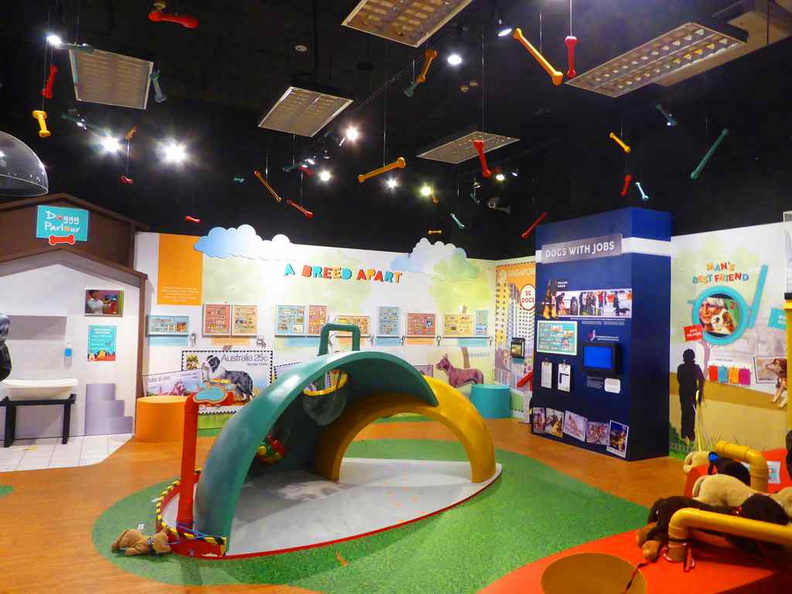 General gallery and play areas