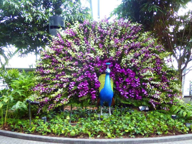 A peacock flower sculpture in the topiaries park