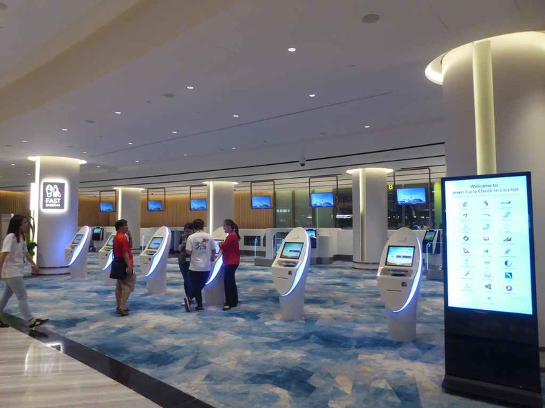 Changi group flight self check-in and baggage deposit areas on the ground floor