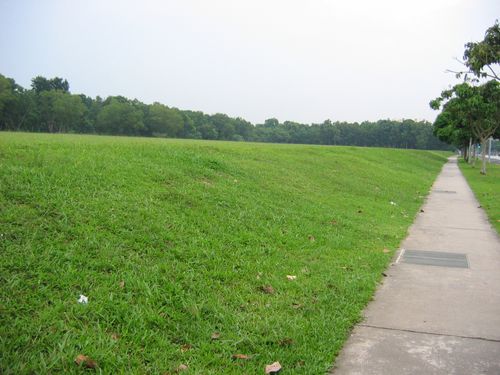 we made our way past Bedok Reservoir, the HDB sand reserve towards Springfield Sec area