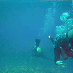 Pular Aur Underwater Scuba Diving photos