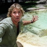 In Memory of Steve Irwin.