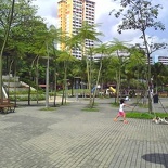 Pathed Community Area where gatherings and night taichi are normally held 