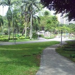 View from the delta park entrance