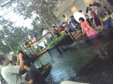 More shots of the invisible-koi pond area