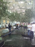another overview of the koi pond area