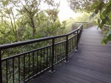 it's like one of the mangrove trail walks, only like wayyy much higher