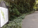 Most people will just park their car at the free carparks here and head off the other direction towards Hortpark itself