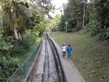 we exited Kent Ridge park through this pond route, before