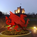 You can't get any welsh-er with a dragon!