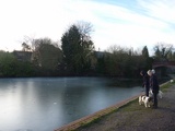 Omg, the lake is frozen!