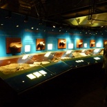 Miniaturized fossil exhibits
