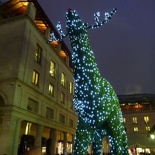 The reindeer is no exception too!