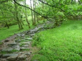 Neat stone path!